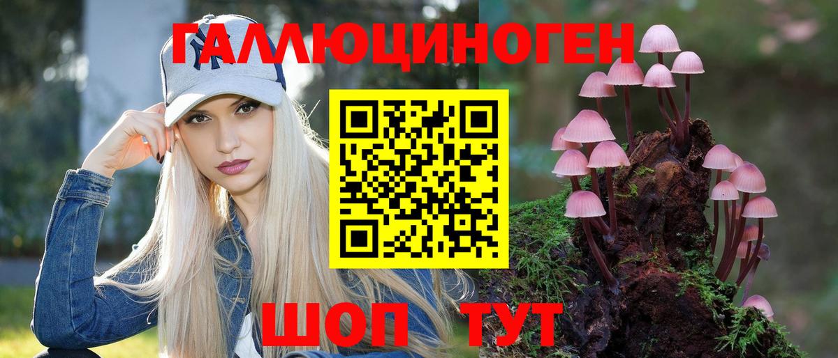 Псилоцибиновые грибы мицелий Краснодар