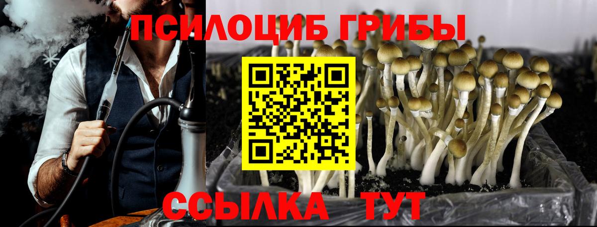 Краснодар  Псилоцибиновые грибы GOLDEN TEACHER  Вход с VPN  Псилоцибиновые грибы GOLDEN TEACHER 